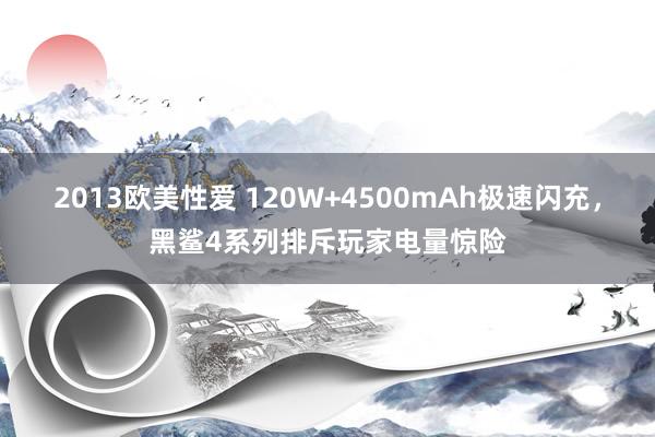 2013欧美性爱 120W+4500mAh极速闪充，黑鲨4系列排斥玩家电量惊险