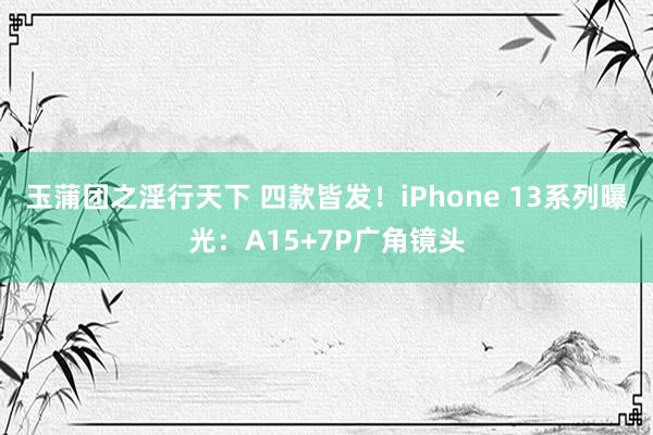 玉蒲团之淫行天下 四款皆发！iPhone 13系列曝光：A15+7P广角镜头