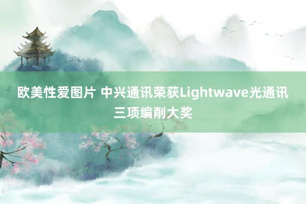 欧美性爱图片 中兴通讯荣获Lightwave光通讯三项编削大奖