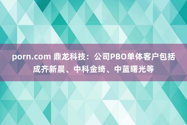 porn.com 鼎龙科技：公司PBO单体客户包括成齐新晨、中科金绮、中蓝曙光等