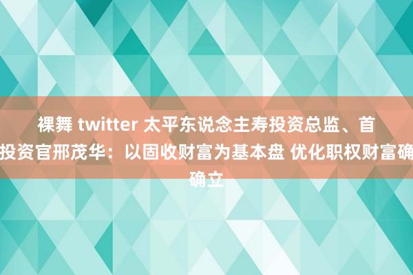 裸舞 twitter 太平东说念主寿投资总监、首席投资官邢茂华：以固收财富为基本盘 优化职权财富确立