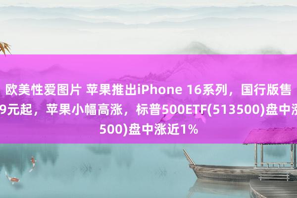 欧美性爱图片 苹果推出iPhone 16系列，国行版售价5999元起，苹果小幅高涨，标普500ETF(513500)盘中涨近1%