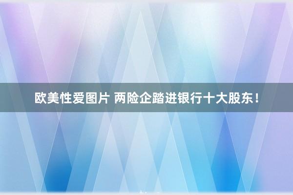 欧美性爱图片 两险企踏进银行十大股东！