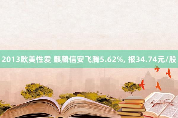 2013欧美性爱 麒麟信安飞腾5.62%， 报34.74元/股