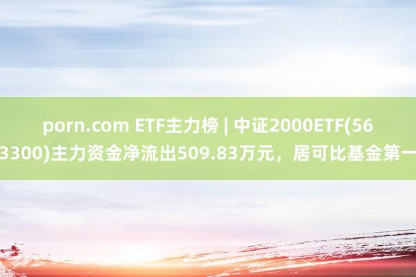 porn.com ETF主力榜 | 中证2000ETF(563300)主力资金净流出509.83万元，居可比基金第一