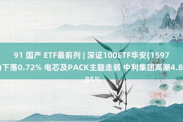 91 国产 ETF最前列 | 深证100ETF华安(159706)下落0.72% 电芯及PACK主题走弱 中利集团高潮4.85%