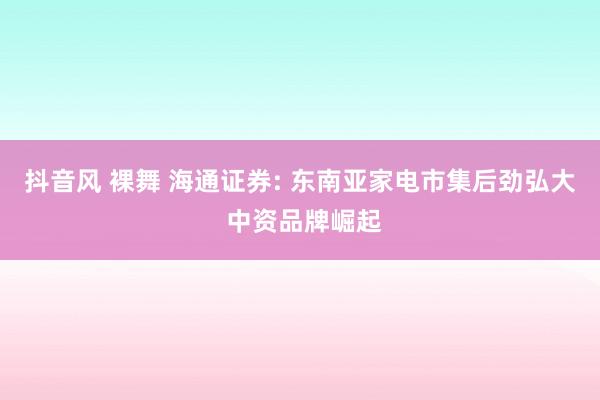 抖音风 裸舞 海通证券: 东南亚家电市集后劲弘大 中资品牌崛起