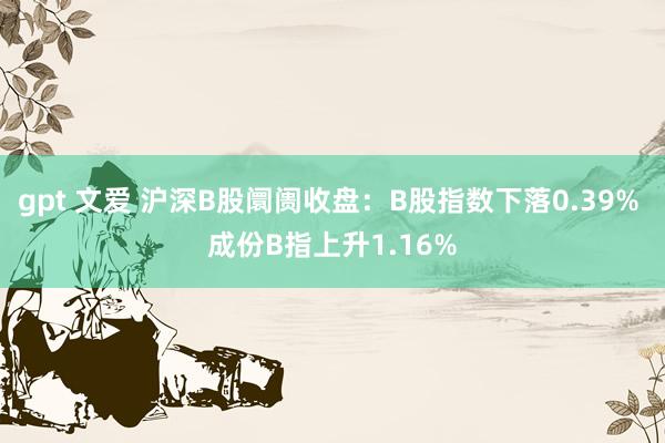 gpt 文爱 沪深B股阛阓收盘：B股指数下落0.39% 成份B指上升1.16%