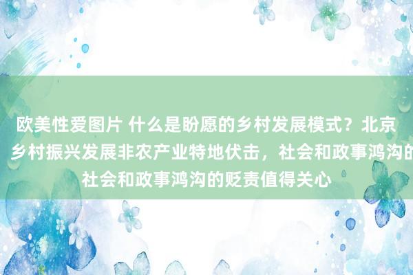 欧美性爱图片 什么是盼愿的乡村发展模式？北京大学讲解姚洋：乡村振兴发展非农产业特地伏击，社会和政事鸿沟的贬责值得关心