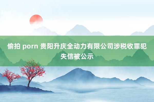 偷拍 porn 贵阳升庆全动力有限公司涉税收罪犯失信被公示