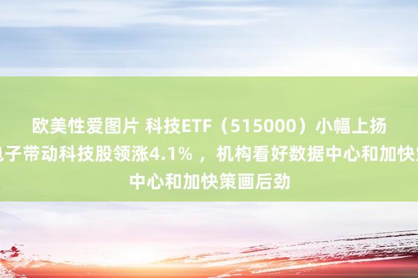 欧美性爱图片 科技ETF（515000）小幅上扬，景旺电子带动科技股领涨4.1% ，机构看好数据中心和加快策画后劲