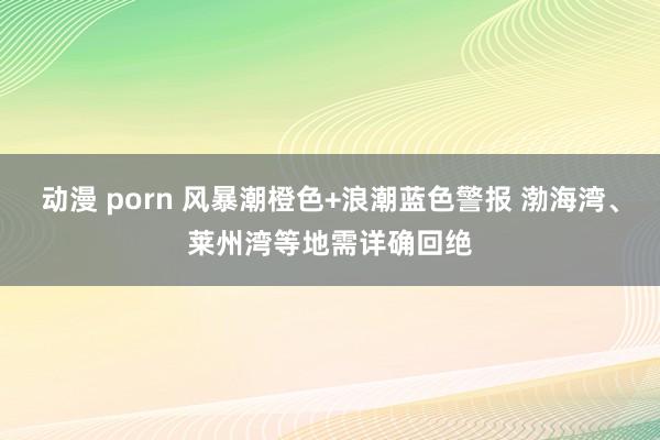 动漫 porn 风暴潮橙色+浪潮蓝色警报 渤海湾、莱州湾等地需详确回绝