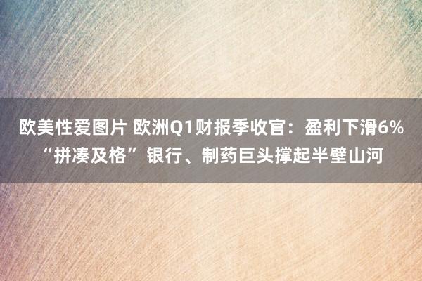 欧美性爱图片 欧洲Q1财报季收官：盈利下滑6%“拼凑及格” 银行、制药巨头撑起半壁山河