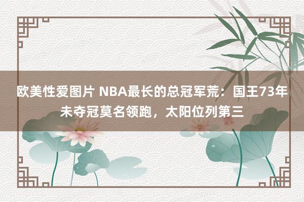 欧美性爱图片 NBA最长的总冠军荒：国王73年未夺冠莫名领跑，太阳位列第三