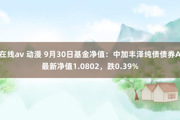 在线av 动漫 9月30日基金净值：中加丰泽纯债债券A最新净值1.0802，跌0.39%