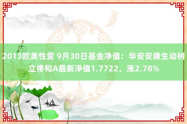 2013欧美性爱 9月30日基金净值：华安安康生动树立搀和A最新净值1.7722，涨2.78%