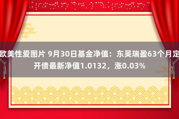 欧美性爱图片 9月30日基金净值：东吴瑞盈63个月定开债最新净值1.0132，涨0.03%