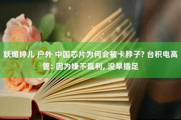 妖媚婷儿 户外 中国芯片为何会被卡脖子? 台积电高管: 因为嫌不赢利， 没早插足