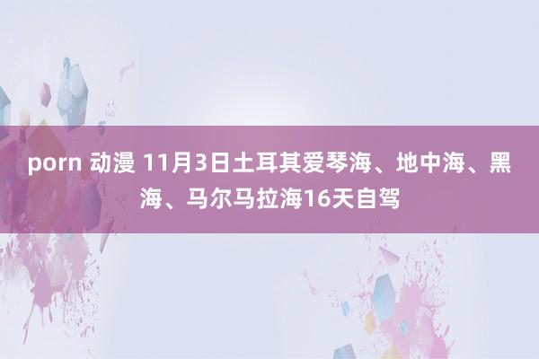 porn 动漫 11月3日土耳其爱琴海、地中海、黑海、马尔马拉海16天自驾