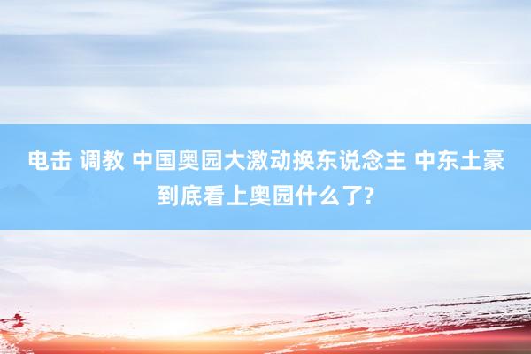 电击 调教 中国奥园大激动换东说念主 中东土豪到底看上奥园什么了?