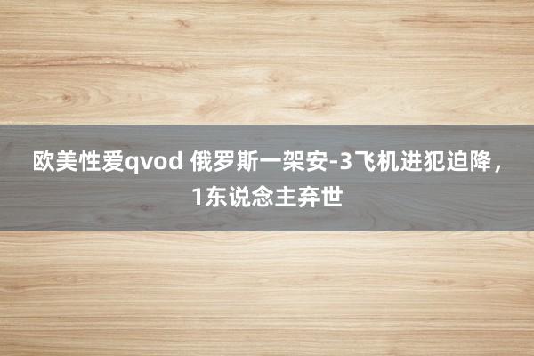 欧美性爱qvod 俄罗斯一架安-3飞机进犯迫降，1东说念主弃世