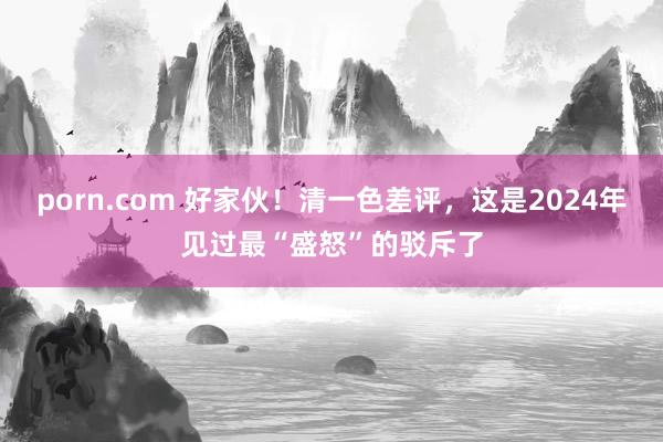 porn.com 好家伙！清一色差评，这是2024年见过最“盛怒”的驳斥了