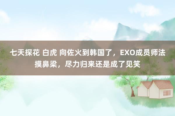 七天探花 白虎 向佐火到韩国了，EXO成员师法摸鼻梁，尽力归来还是成了见笑