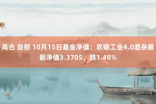 高合 自慰 10月15日基金净值：农银工业4.0混杂最新净值3.3705，跌1.48%