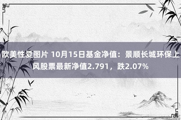 欧美性爱图片 10月15日基金净值：景顺长城环保上风股票最新净值2.791，跌2.07%