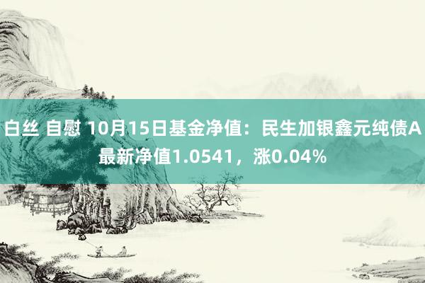 白丝 自慰 10月15日基金净值：民生加银鑫元纯债A最新净值1.0541，涨0.04%