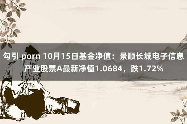 勾引 porn 10月15日基金净值：景顺长城电子信息产业股票A最新净值1.0684，跌1.72%