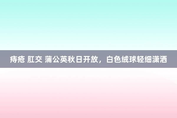 痔疮 肛交 蒲公英秋日开放，白色绒球轻细潇洒