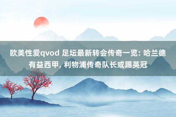 欧美性爱qvod 足坛最新转会传奇一览: 哈兰德有益西甲， 利物浦传奇队长或踢英冠