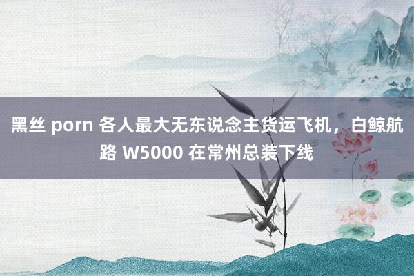 黑丝 porn 各人最大无东说念主货运飞机，白鲸航路 W5000 在常州总装下线