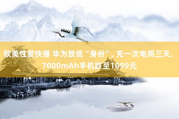 欧美性爱快播 华为放低“身份”， 充一次电用三天， 7000mAh手机跌至1099元