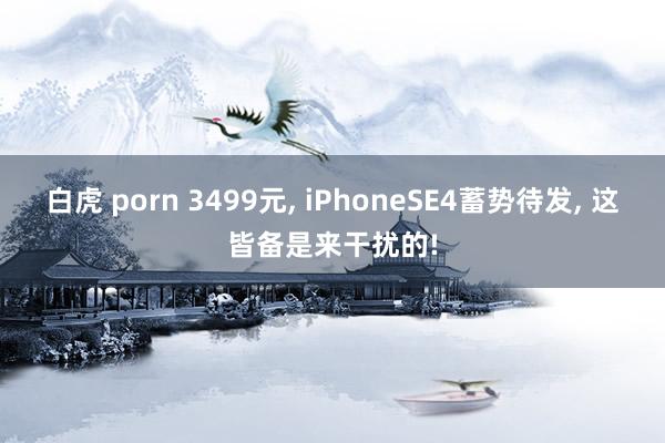 白虎 porn 3499元， iPhoneSE4蓄势待发， 这皆备是来干扰的!