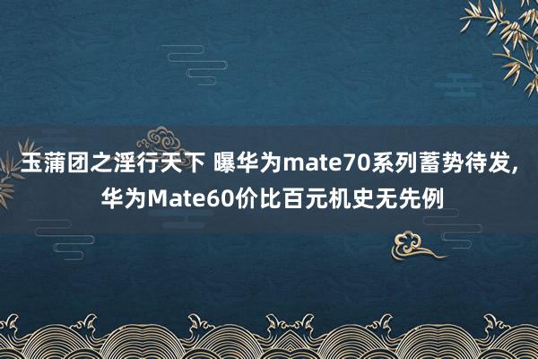 玉蒲团之淫行天下 曝华为mate70系列蓄势待发， 华为Mate60价比百元机史无先例