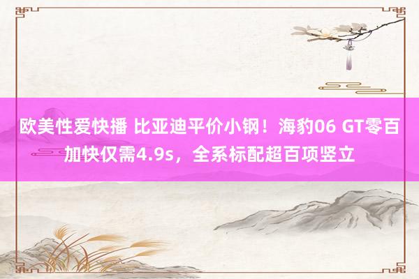 欧美性爱快播 比亚迪平价小钢！海豹06 GT零百加快仅需4.9s，全系标配超百项竖立