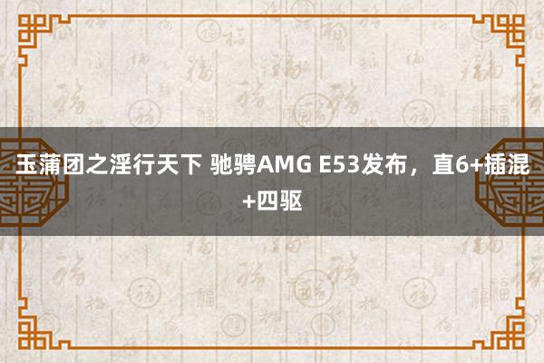 玉蒲团之淫行天下 驰骋AMG E53发布，直6+插混+四驱