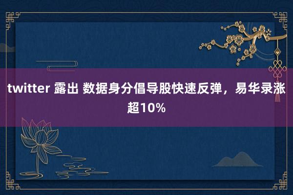 twitter 露出 数据身分倡导股快速反弹，易华录涨超10%