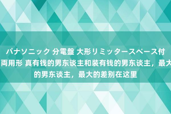 パナソニック 分電盤 大形リミッタースペース付 露出・半埋込両用形 真有钱的男东谈主和装有钱的男东谈主，最大的差别在这里