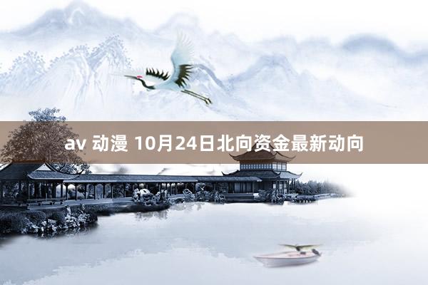 av 动漫 10月24日北向资金最新动向