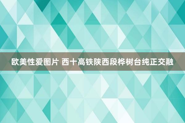 欧美性爱图片 西十高铁陕西段桦树台纯正交融