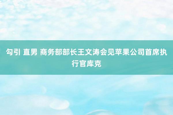 勾引 直男 商务部部长王文涛会见苹果公司首席执行官库克