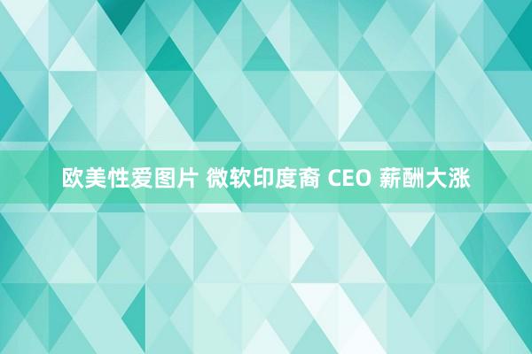 欧美性爱图片 微软印度裔 CEO 薪酬大涨