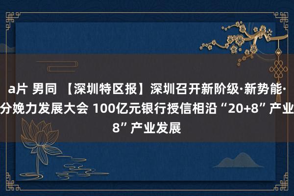 a片 男同 【深圳特区报】深圳召开新阶级·新势能·新质分娩力发展大会 100亿元银行授信相沿“20+8”产业发展