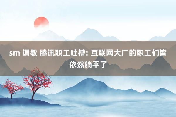 sm 调教 腾讯职工吐槽: 互联网大厂的职工们皆依然躺平了