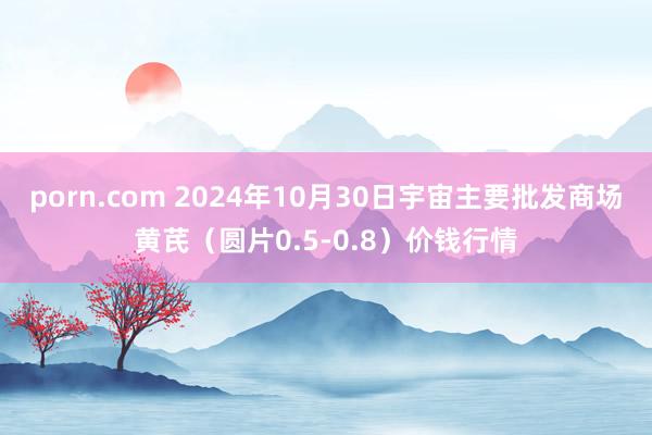 porn.com 2024年10月30日宇宙主要批发商场黄芪（圆片0.5-0.8）价钱行情