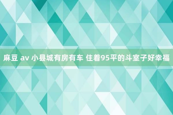 麻豆 av 小县城有房有车 住着95平的斗室子好幸福