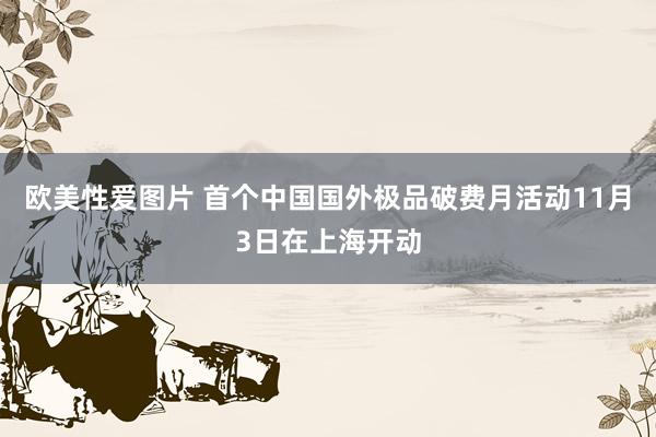 欧美性爱图片 首个中国国外极品破费月活动11月3日在上海开动